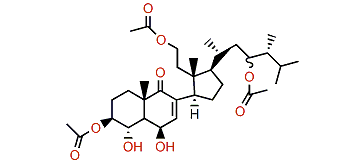 Pinnisterol C